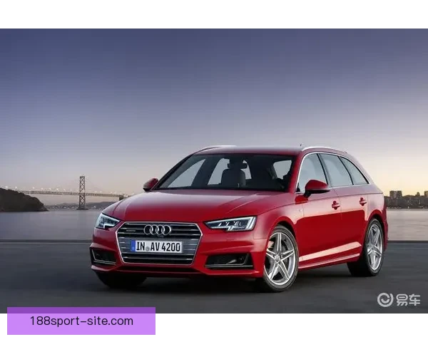 世界杯竞猜盘口深度分析与投注技巧探索